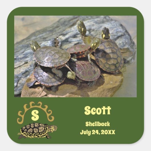 Secret Turtle Shellbackラグーン写真名 スクエアシール (正面)