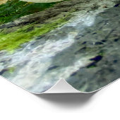 Secrets of nature - autumn fungi's travel ポスター (コーナー)