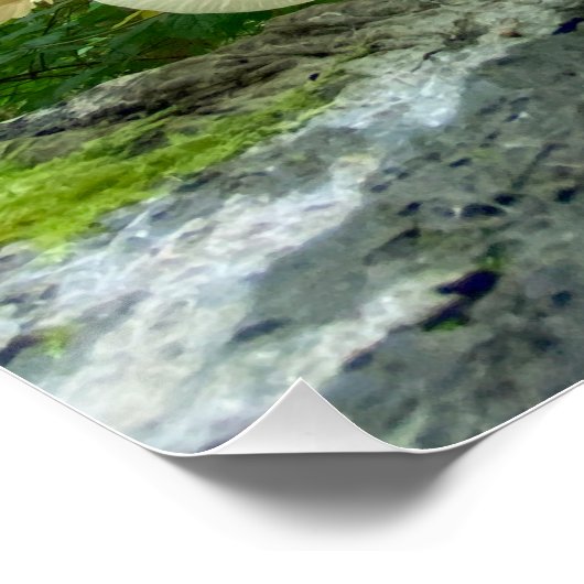 Secrets of nature - autumn fungi's travel ポスター (コーナー)