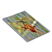 Sedgeの草およびトンボ ノートブック (右側)