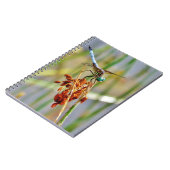 Sedgeの草およびトンボ ノートブック (左側)