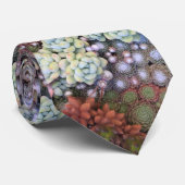 SedumおよびSempervivumのカラフルなSucculent ネクタイ (ロール)