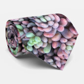 Sedum紫色および緑のDasyphyllumのSucculent ネクタイ (ロール)