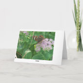 Sedum、蝶及び蜂 カード (裏面)