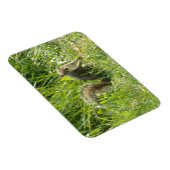 See You Squirrelフレキシブル磁石 マグネット (右側)