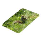 See You Squirrelフレキシブル磁石 マグネット (左側)