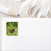 See You Squirrel差出人住所ラベル ラベル (インサイチュ)