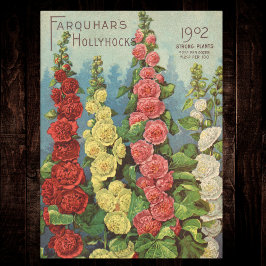 Seed Packet Red Orange 1902 Hollyhocks Vintage 薄葉紙