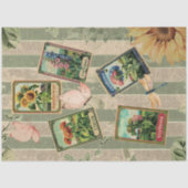 Seed Packet Vintage Sage Stripes Velvet Look 薄葉紙 (正面)