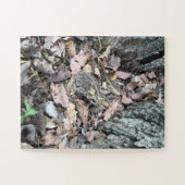 Seek + Discoverオーバーサイズパズル30ピース11"x14" ジグソーパズル (横)