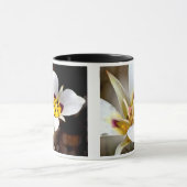 Segoユリ マグカップ (中央)