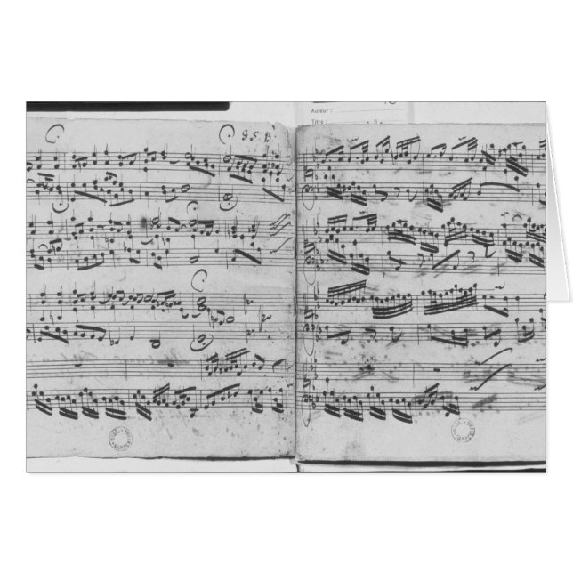 Sei Gegrusset Iesu Gutig (正面横)