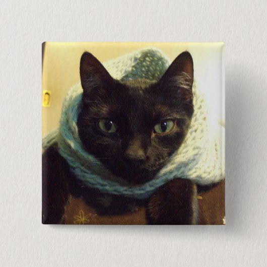 Seimei気さくなボタン 缶バッジ (正面)