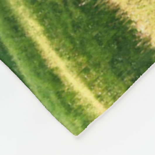 Seiser Alm |のドロマイトのアルプス、イタリア フリースブランケット (角)