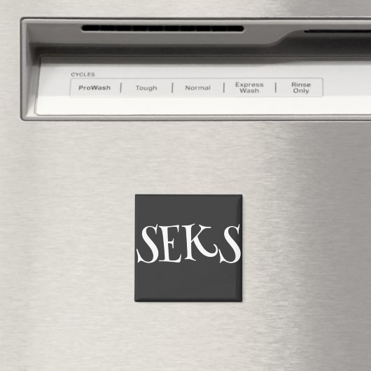 SEKS マグネット (インサイチュ (食洗機))