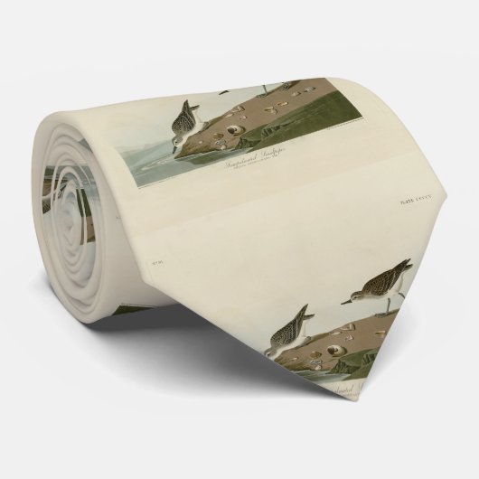 Semipalmated Sandpiper、Audubon's Birds of America ネクタイ (ロール)