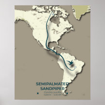 Semipalmated Sandpiper Migration Map – Minimalist 