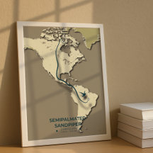 Semipalmated Sandpiper Migration Map – Minimalist 