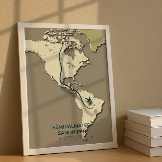 Semipalmated Sandpiper Migration Map – Minimalist  ポスター