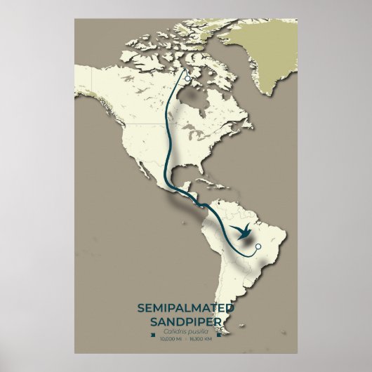 Semipalmated Sandpiper Migration Map – Minimalist  ポスター (正面)