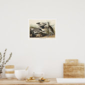 Semipalmated Snipe or Willet by Audubon Poster ポスター (キッチン)