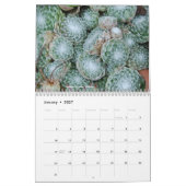 SempervivumおよびJovibarba カレンダー (1月 2027)