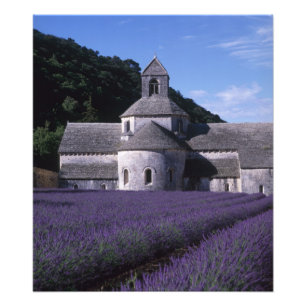 Senanque Abbey, Gordes, Vaucluse, Provence, 2 フォトプリント