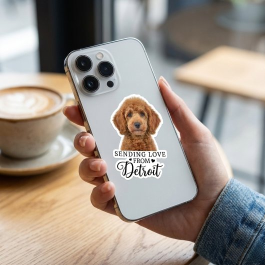 Sending Love From Detroit  シール