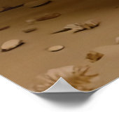 Senora ポスター (角)