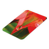 Sensual, Red Petals with Dew, Sexy Flower マグネット (左側)