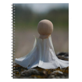 Sensueel gehuld poppetje in een bloemen jurkje. ノートブック