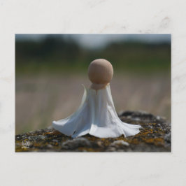 Sensueel gehuld poppetje in een bloemen jurkje. ポストカード