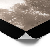 Sentinal Hotel Yosemite Photo 1906 ポスター (角)