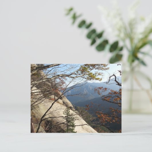 Seoraksan (山) ポストカード (スタンド正面)