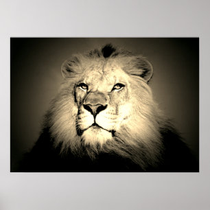 Sepia Lion – 野生動物の古いファッションド写真 ポスター