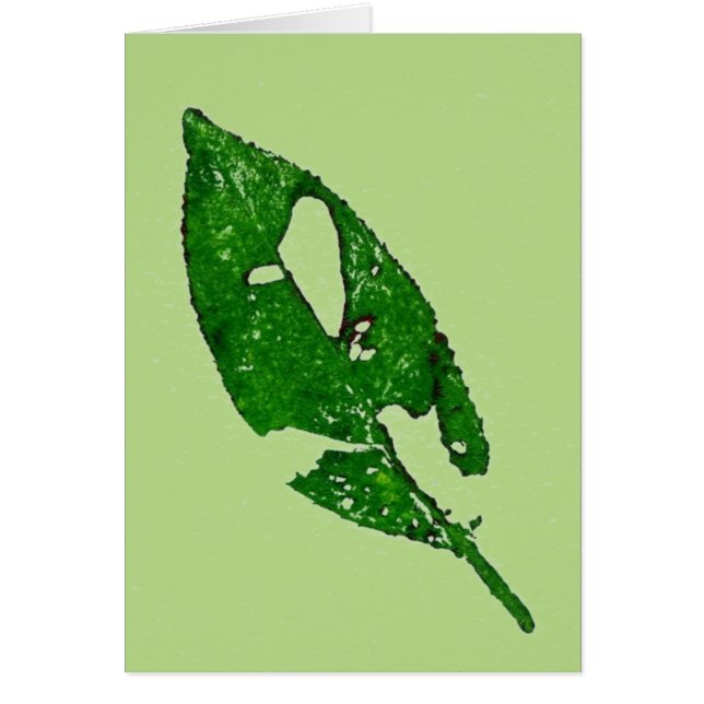 「September Leaf on Green」カントリーグリーティングカード (正面)