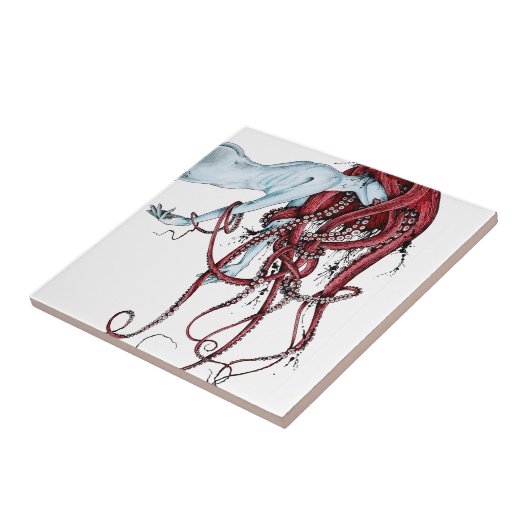 Septoid タイル (側面)