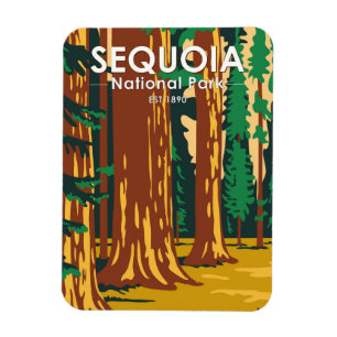 Sequoia National Park Giant Sequoia Trees Vintage マグネット