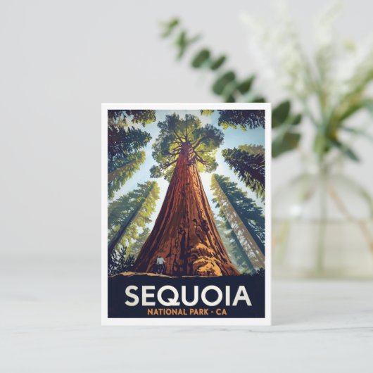 Sequoia National Park Giant Trees ポストカード (スタンド正面)
