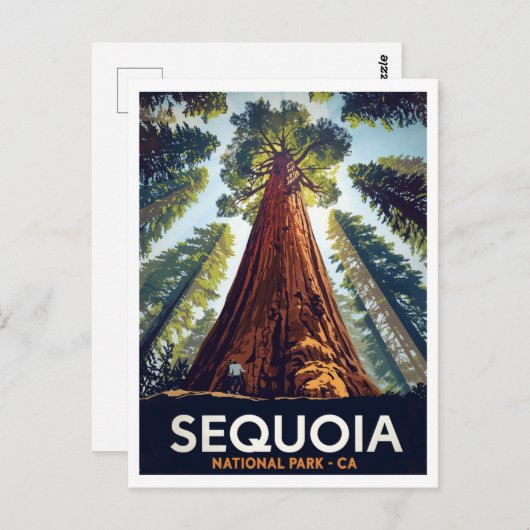 Sequoia National Park Giant Trees ポストカード (正面/裏面)