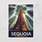 Sequoia National Park Giant Trees ポストカード (正面)