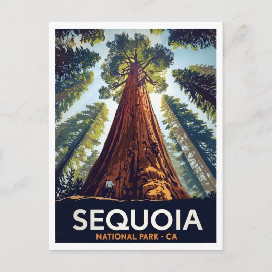 Sequoia National Park Giant Trees ポストカード (正面)
