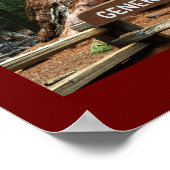 SEQUOIA NAT'L PARK-California-General Sherman- ポスター (角)