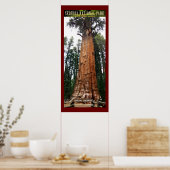SEQUOIA NAT'L PARK-California-General Sherman- ポスター (キッチン)