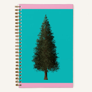 Sequoia notebook ノートブック