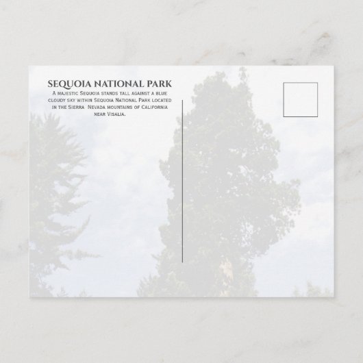 Sequoia Tree against Blue Sky, Sequoia NP ポストカード (裏面)