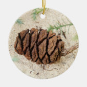Sequoia Tree Cone, Giant Redwood Ornament セラミックオーナメント (正面)