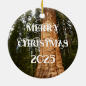 Sequoia Tree Cone, Giant Redwood Ornament セラミックオーナメント (裏面)