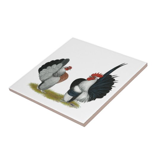 Seramaのチャボ タイル (側面)