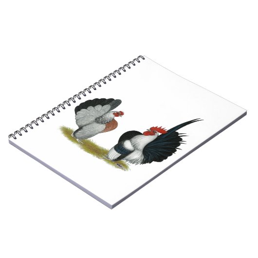 Seramaのチャボ ノートブック (左側)